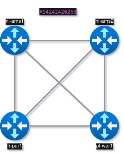 AS4242420263 Full-mesh network